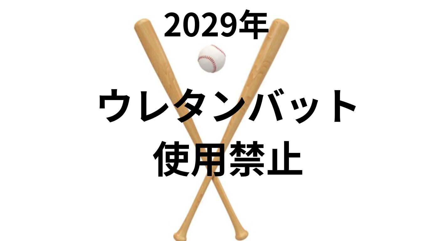 2029年 ウレタンバット使用禁止